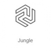 Jungle - Радио Рекорд